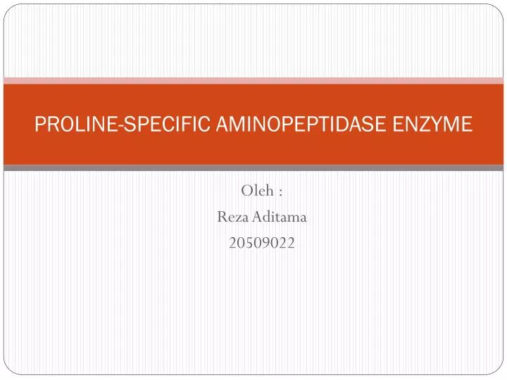 proline specific aminopeptidase enzyme