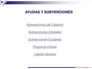 ayudas y subvenciones