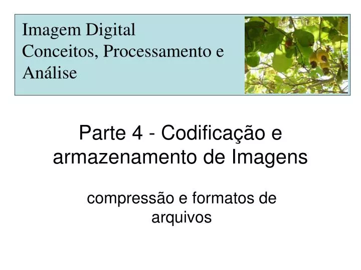 parte 4 codifica o e armazenamento de imagens