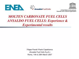 MOLTEN CARBONATE FUEL CELLS ANSALDO FUEL CELLS: Experience &amp; Experimental results