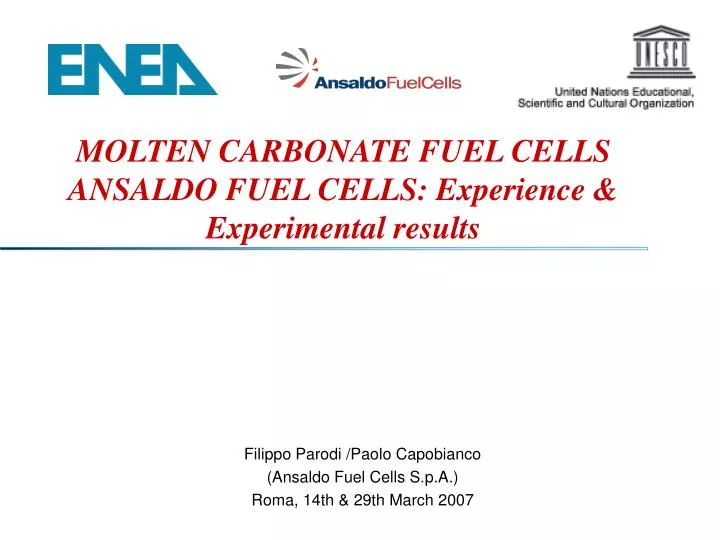 molten carbonate fuel cells ansaldo fuel cells experience experimental results