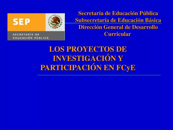 los proyectos de investigaci n y participaci n en fcye