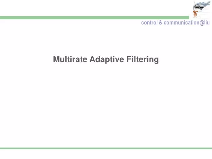 multirate adaptive filtering