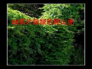 slide1