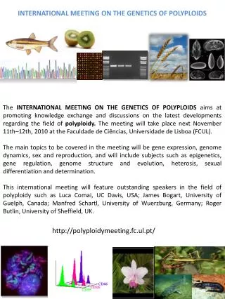 International meeting on the Genetics of polyploids