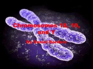 Chromosomes 18, 19, and Y