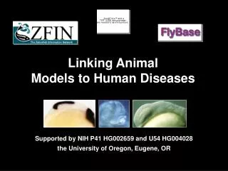 Linking Animal Models to Human Diseases