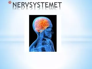 nervsystemet
