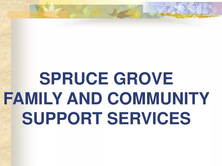 spruce grove family and community support services