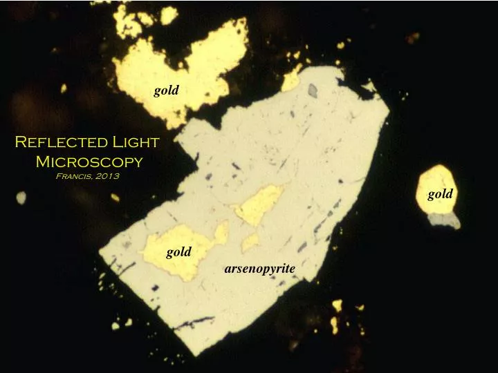 reflected light microscopy francis 2013