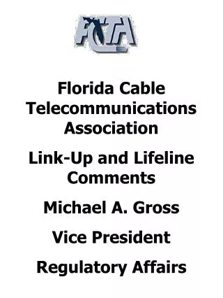 Florida Cable Telecommunications Association Link-Up and Lifeline Comments Michael A. Gross