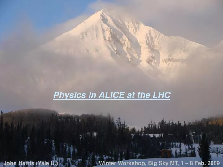 physics in alice at the lhc