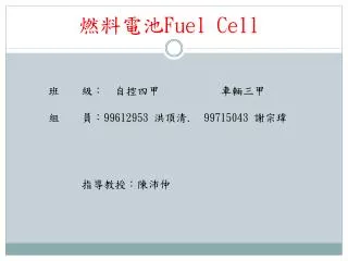 fuel cell
