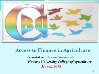 Access to Finance in Agriculture Presented on : Hawasa Finance Fair