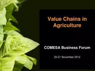 Value Chains in Agriculture COMESA Business Forum 20-21 November 2012