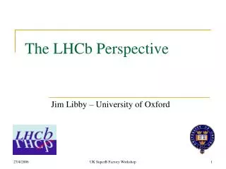 The LHCb Perspective