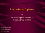 Les maladies à prions - slide 1