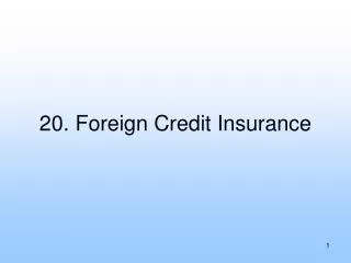 20. Foreign Credit Insurance