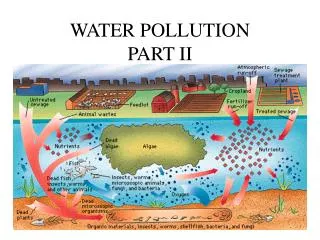 WATER POLLUTION PART II