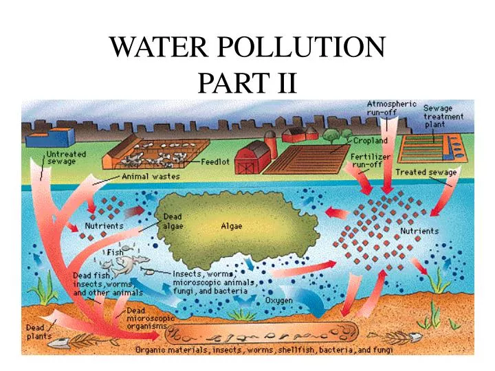 water pollution part ii