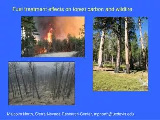 Fuel treatment effects on forest carbon and wildfire