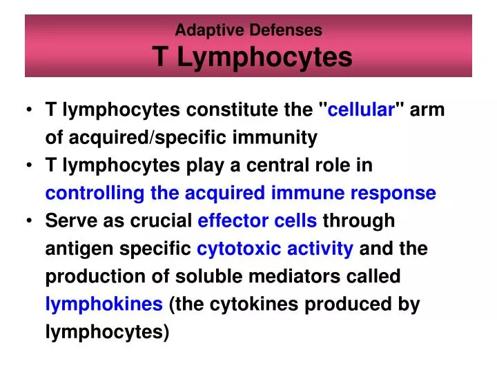 adaptive defenses t lymphocytes