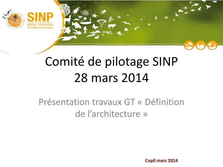 comit de pilotage sinp 28 mars 2014