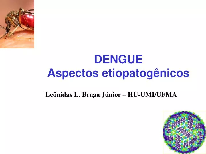 dengue aspectos etiopatog nicos