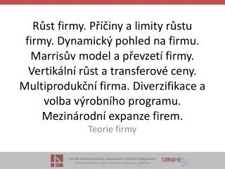teorie firmy