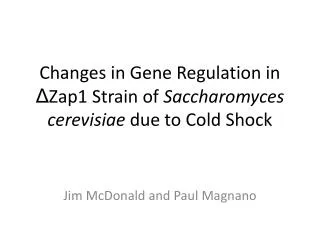 Changes in Gene Regulation in ? Zap1 Strain of S accharomyces cerevisiae due to Cold Shock