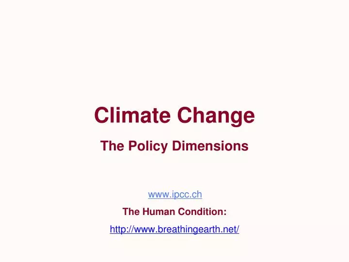 climate change the policy dimensions