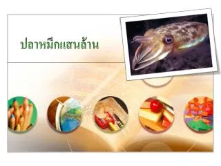 www themegallery com