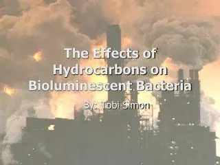 The Effects of Hydrocarbons on Bioluminescent Bacteria
