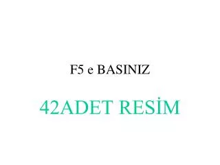f5 e basiniz