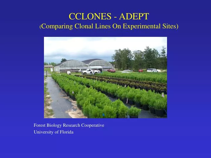 cclones adept comparing clonal lines on experimental sites