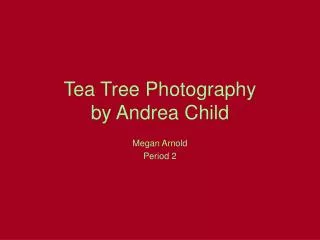 Tea Tree Photography by Andrea Child