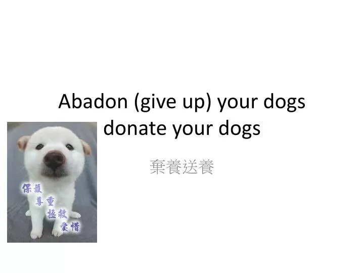abadon give up your dogs donate your dogs