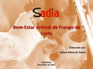 bem estar animal de frango de corte