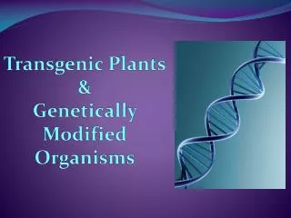 Transgenic Plants &amp; Genetically Modified Organisms