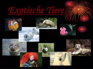 exotische tiere