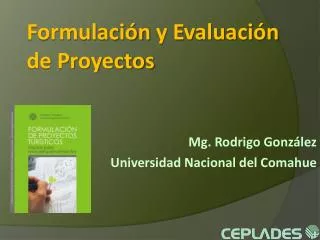 formulaci n y evaluaci n de proyectos