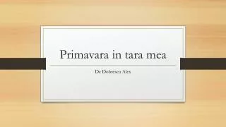 primavara in tara mea