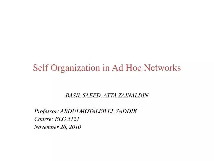 self organization in ad hoc networks