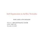 Self Organization in Ad Hoc Networks - slide 1