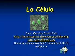 la c lula