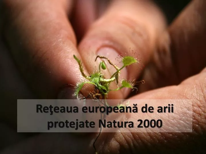 re eaua european de arii protejate natura 2000
