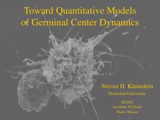 Toward Quantitative Models of Germinal Center Dynamics