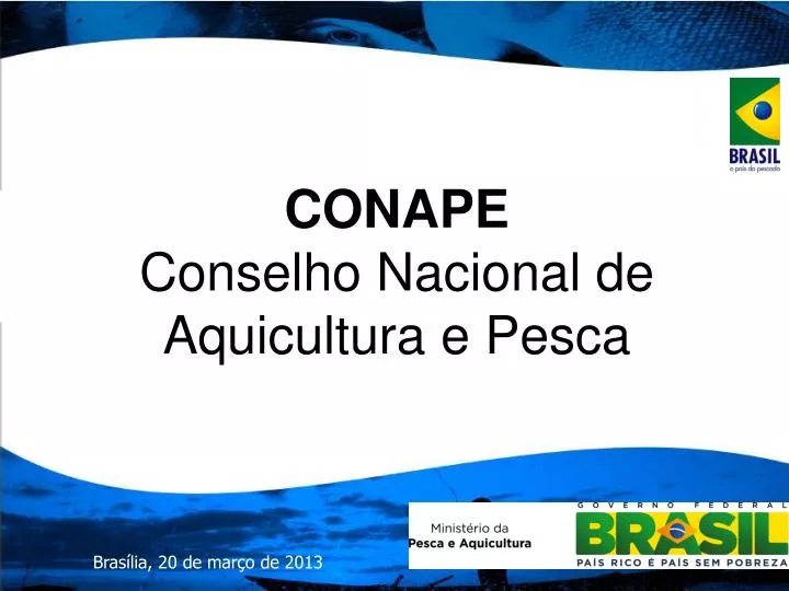 conape conselho nacional de aquicultura e pesca