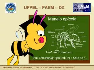 ufpel faem dz