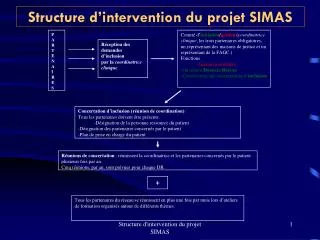 Structure d’intervention du projet SIMAS